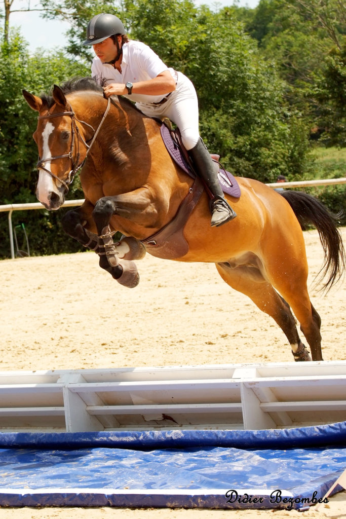 Didier Bezombes photographe équestres à Rodez a photographier un cavalier sur un cheval de couleur franchissant un obstacle de type bidet lors d'une épreuve de saut d'obstacle en Occitanie